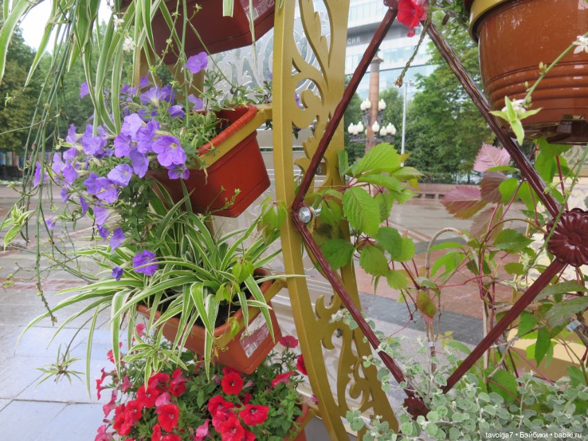 SnapStar Эхо — Игровые куклы разных производителей (Разное): редкие бренды (фото 9)