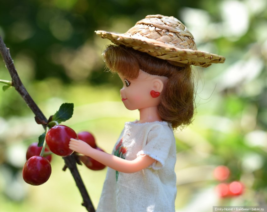 Деревенская Ку-чан — Куклы Takara Tomy (Такара): Licca (Ликка) (фото 2)