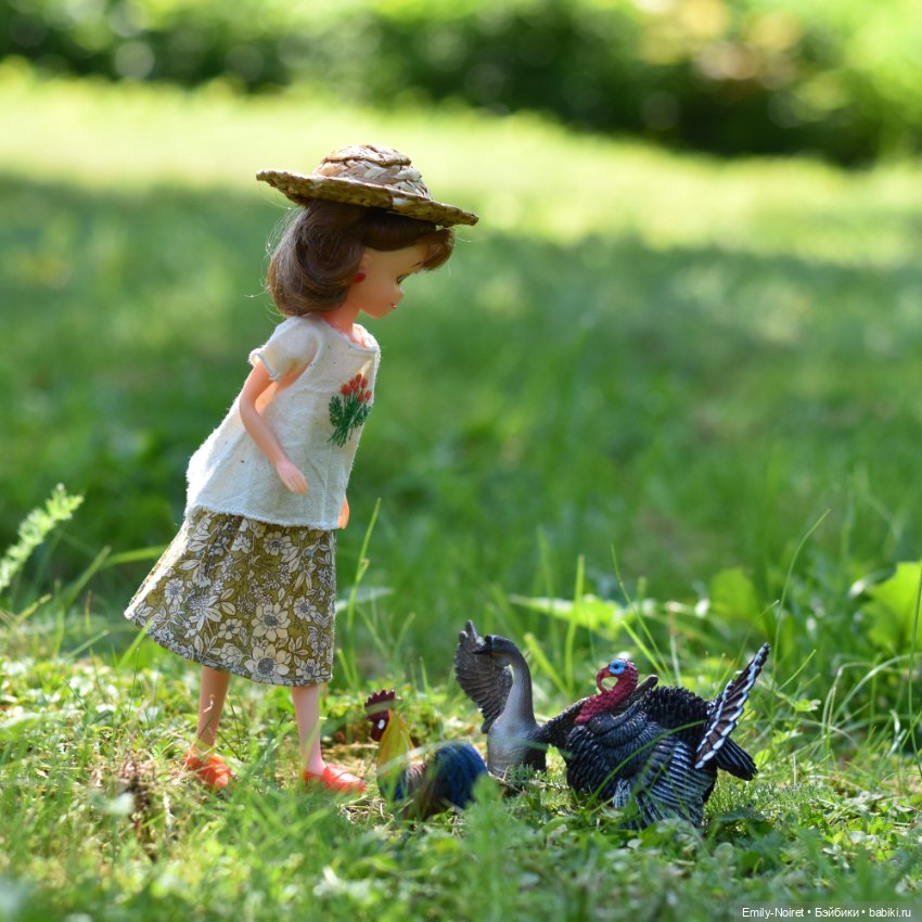 Деревенская Ку-чан — Куклы Takara Tomy (Такара): Licca (Ликка) (фото 8)