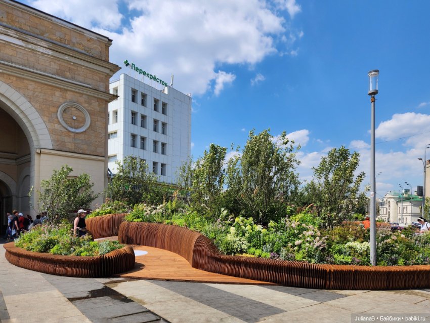 Мышь лабораторная. Лето в Москве (фото 2)