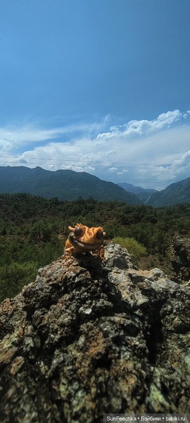 Бананожор Гоша — Коллекционные экшн (фото 8)