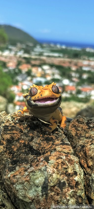 Бананожор Гоша — Коллекционные экшн (фото 10)