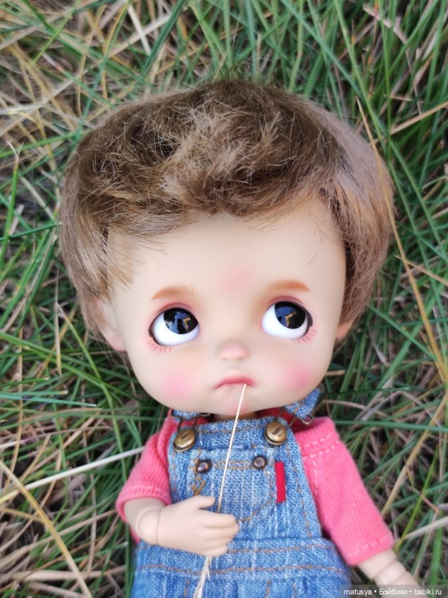 Данькино лето — Разные шарнирные куклы (не БЖД): редкие