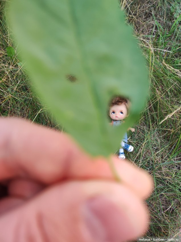 Данькино лето — Разные шарнирные куклы (не БЖД): редкие