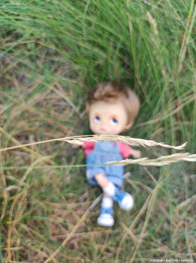 Данькино лето — Разные шарнирные куклы (не БЖД): редкие