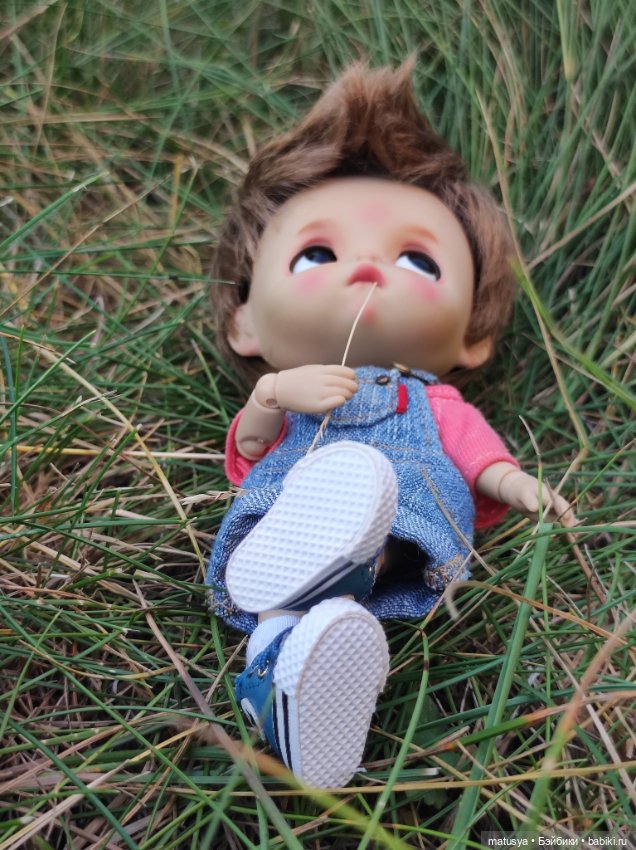 Данькино лето — Разные шарнирные куклы (не БЖД): редкие
