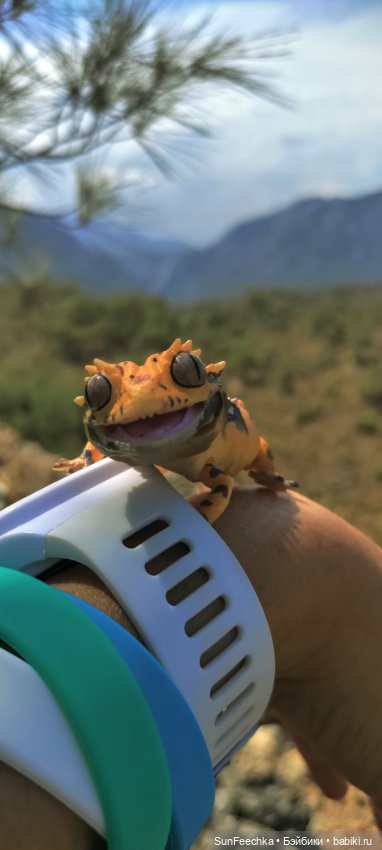 Бананожор Гоша — Коллекционные экшн