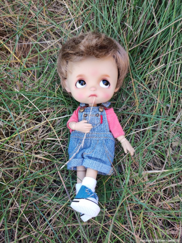 Данькино лето — Разные шарнирные куклы (не БЖД): редкие