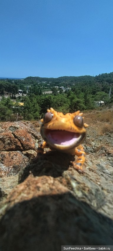 Бананожор Гоша — Коллекционные экшн (фото 7)