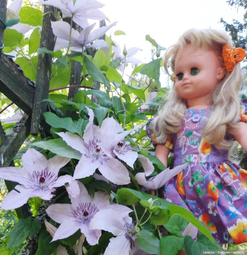 Аурелия знакомится с садом