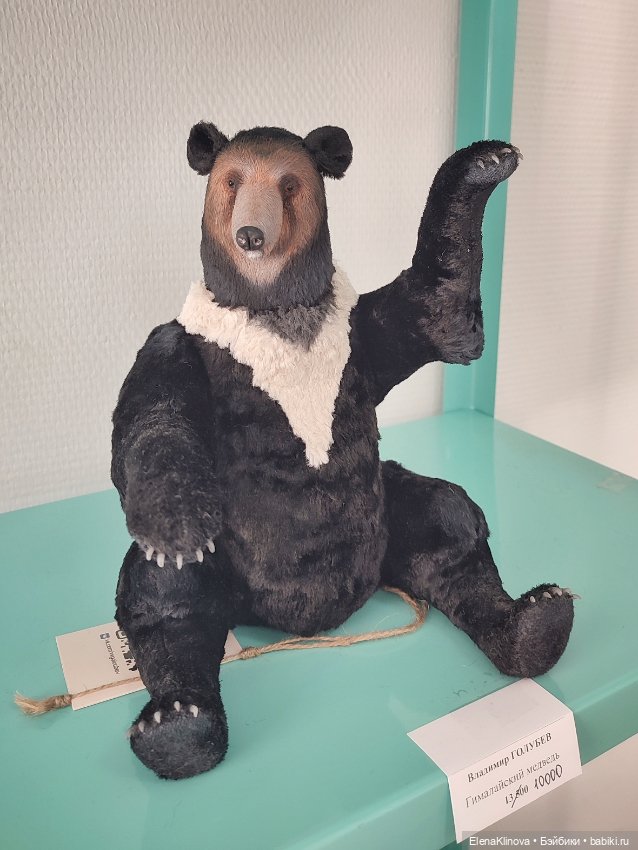 Тедди Мир: медведи 🐻 — Выставки кукол и мишек Тедди: фоторепортажи