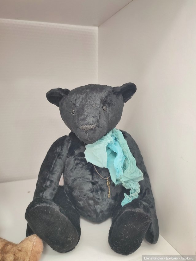 Тедди Мир: медведи 🐻 — Выставки кукол и мишек Тедди: фоторепортажи