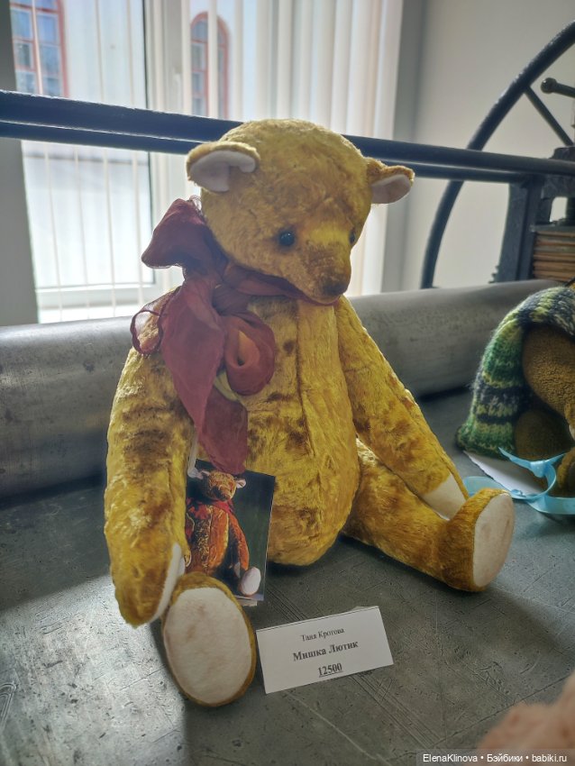 Тедди Мир: медведи 🐻 — Выставки кукол и мишек Тедди: фоторепортажи