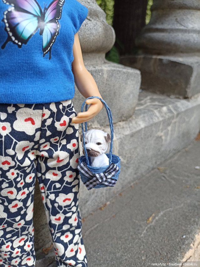 Энни на прогулке — Аналоги Барби и куклы 1/6: клоны 90 (фото 7)
