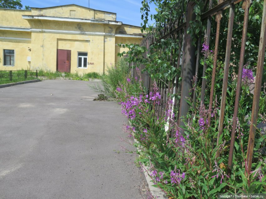 "Я просыпаюсь и вспоминаю. Мы разрушили город?"