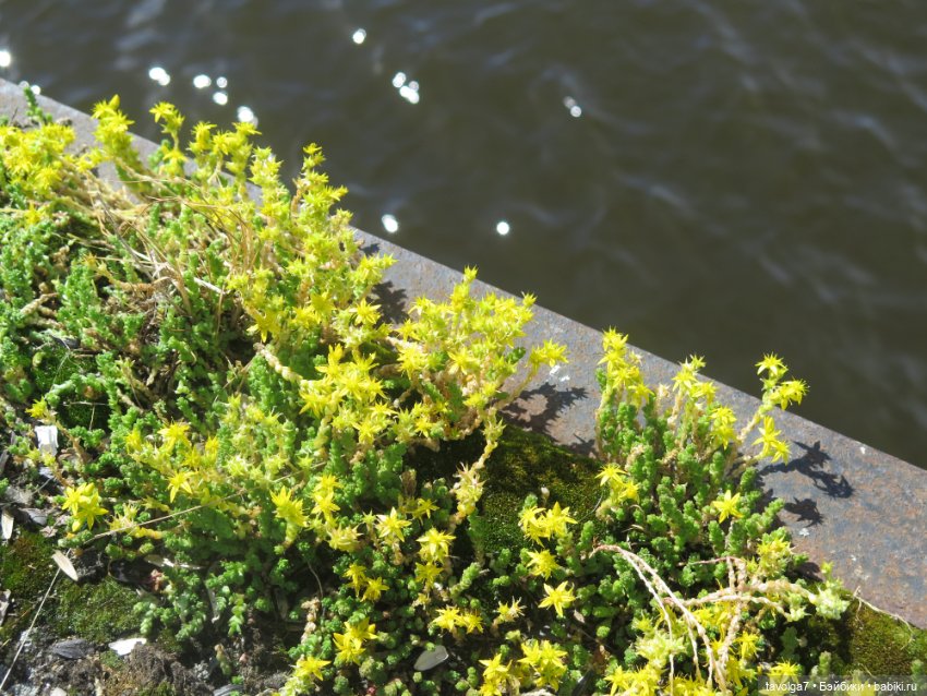 "Я просыпаюсь и вспоминаю. Мы разрушили город?" (фото 6)