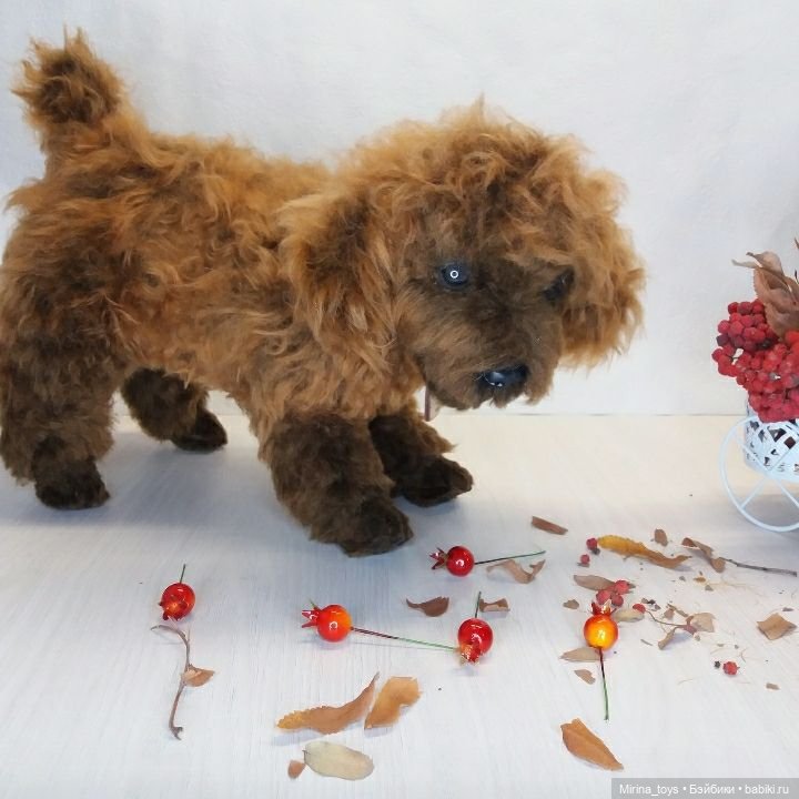 Betty the poodle — Текстильные игрушки и примитивы: кофейные (фото 2)