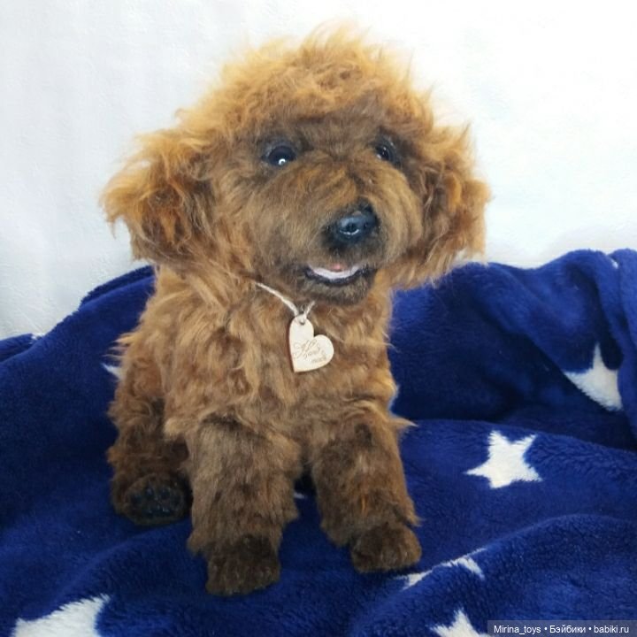 Betty the poodle — Текстильные игрушки и примитивы: кофейные