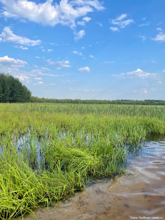 Эбигейл на Ласковском озере (фото 2)