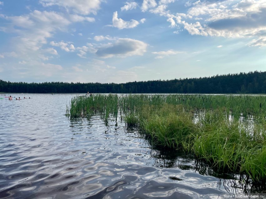 Эбигейл на Ласковском озере (фото 10)
