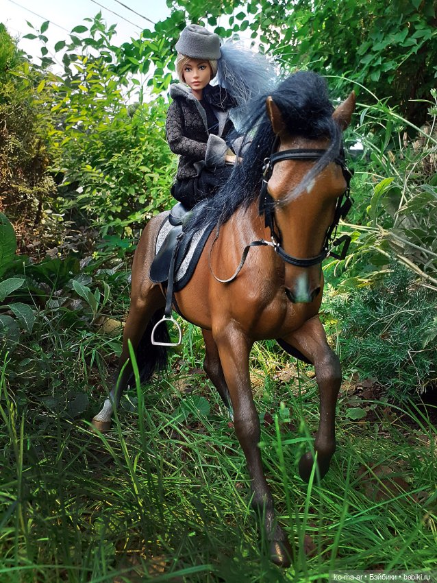 Лошадки — В мире животных: смешные фото питомцев и зверей