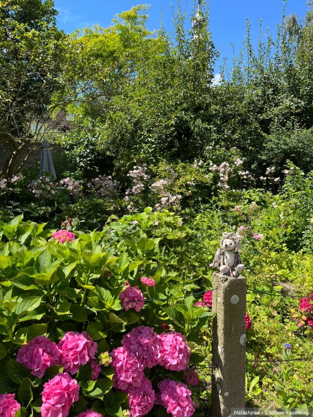 Музыкальная История 135 — Туризм и путешествия: фотоотчеты из поездок