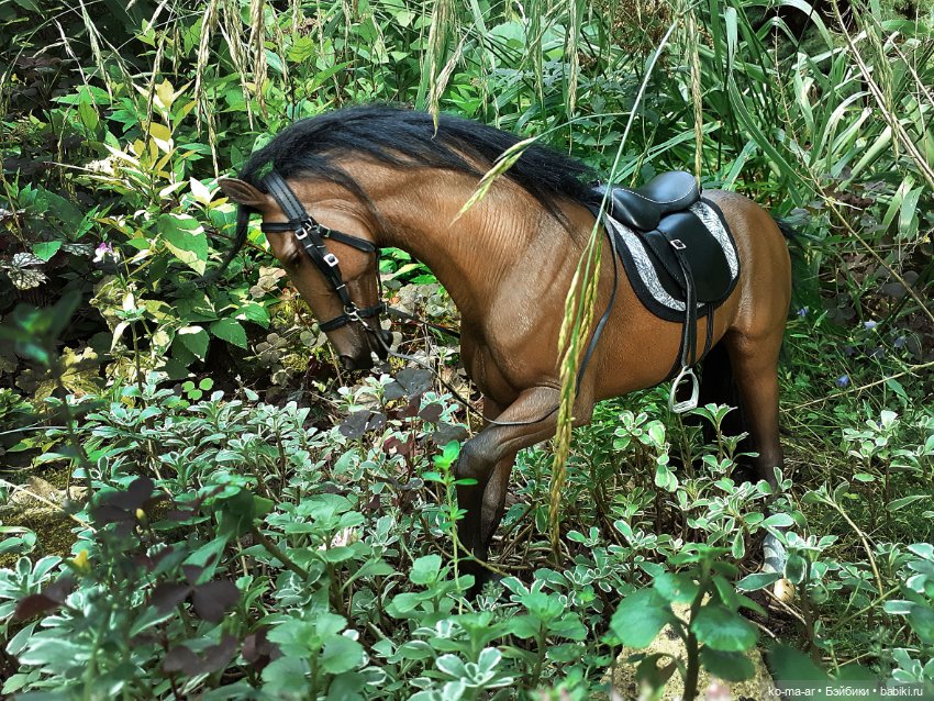 Лошадки — В мире животных: смешные фото питомцев и зверей (фото 4)