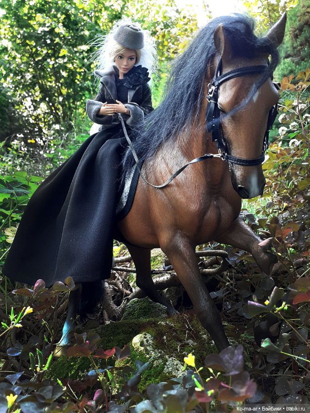 Лошадки — В мире животных: смешные фото питомцев и зверей