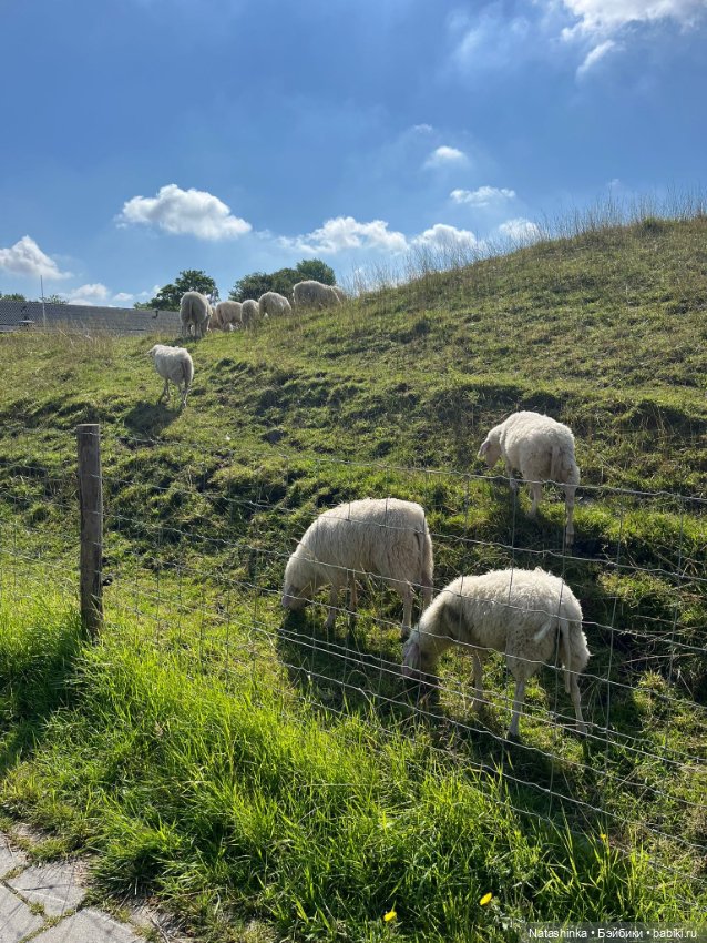 Музыкальная История 135 — Туризм и путешествия: фотоотчеты из поездок (фото 4)