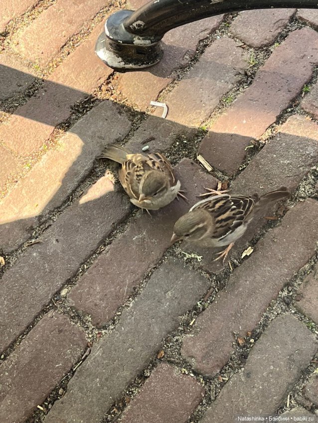 Музыкальная История 135 — Туризм и путешествия: фотоотчеты из поездок