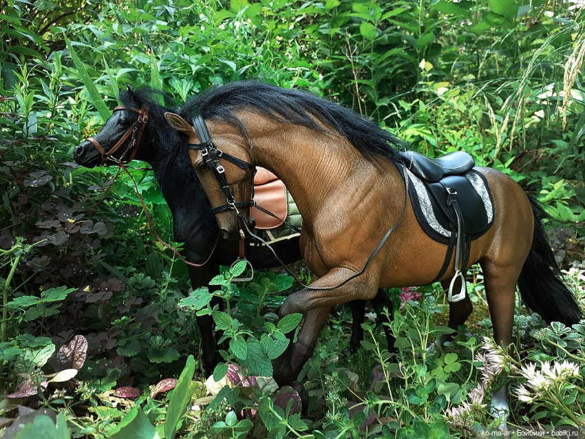 Лошадки — В мире животных: смешные фото питомцев и зверей