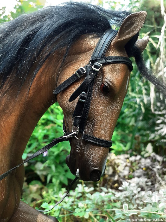 Лошадки — В мире животных: смешные фото питомцев и зверей (фото 9)