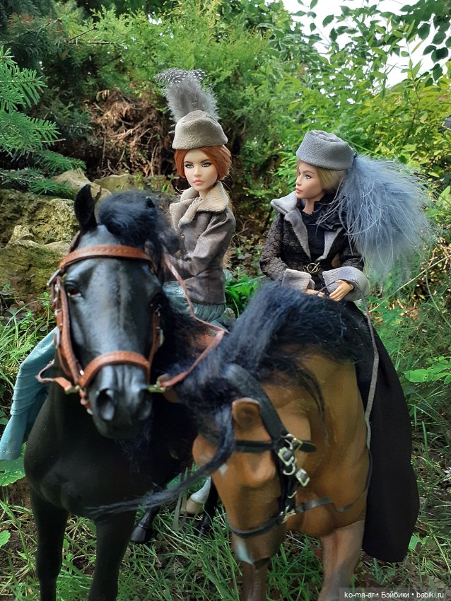 Лошадки — В мире животных: смешные фото питомцев и зверей