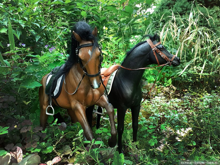 Лошадки — В мире животных: смешные фото питомцев и зверей