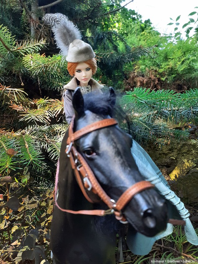 Лошадки — В мире животных: смешные фото питомцев и зверей