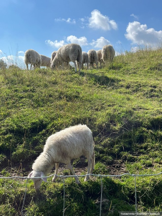 Музыкальная История 135 — Туризм и путешествия: фотоотчеты из поездок (фото 5)