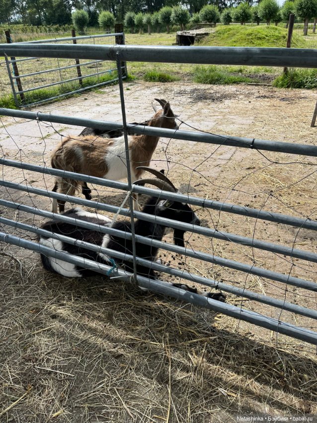 Музыкальная История 135 — Туризм и путешествия: фотоотчеты из поездок