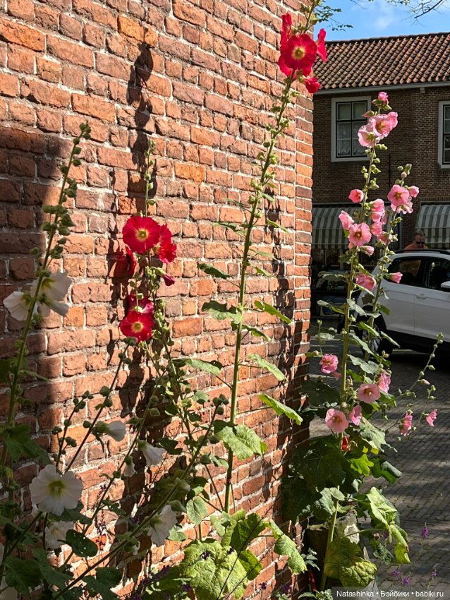 Музыкальная История 135 — Туризм и путешествия: фотоотчеты из поездок