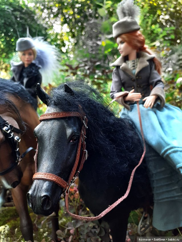 Лошадки — В мире животных: смешные фото питомцев и зверей