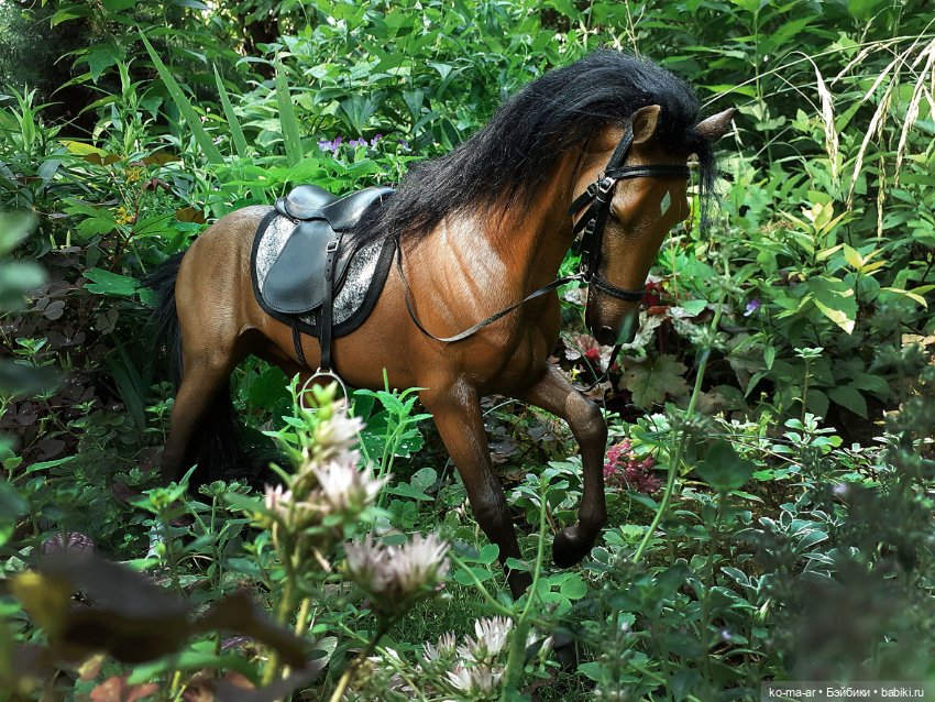 Лошадки — В мире животных: смешные фото питомцев и зверей (фото 7)