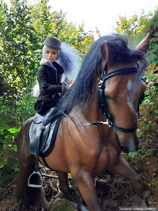 Лошадки — В мире животных: смешные фото питомцев и зверей