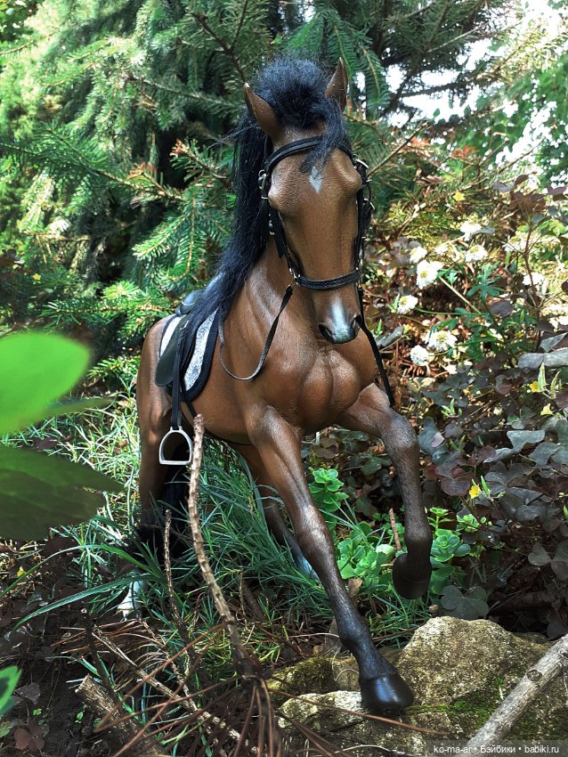 Лошадки — В мире животных: смешные фото питомцев и зверей