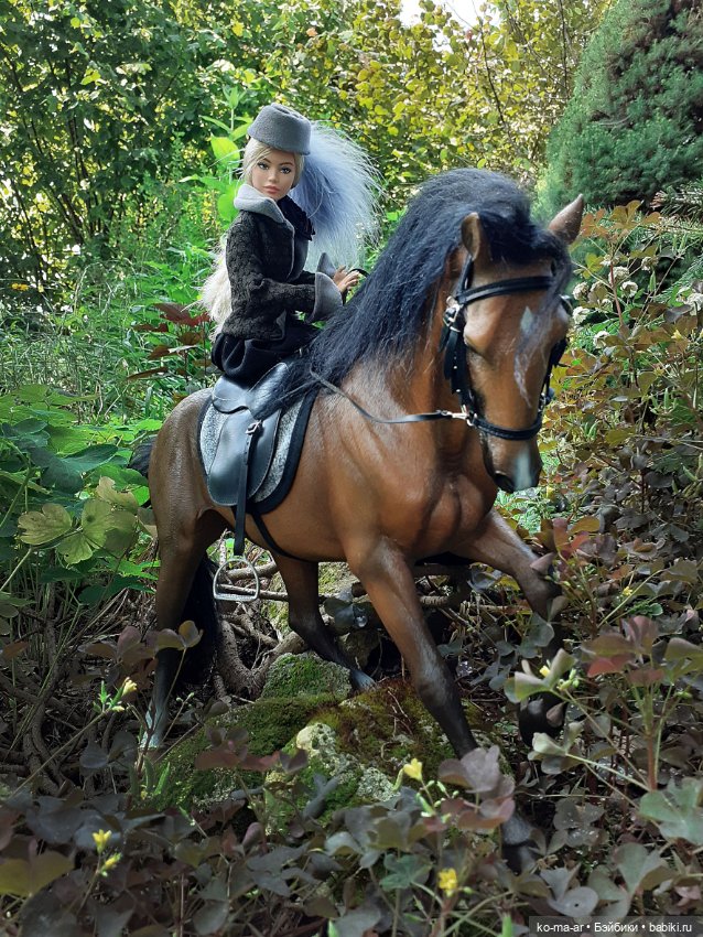 Лошадки — В мире животных: смешные фото питомцев и зверей