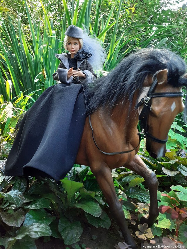 Лошадки — В мире животных: смешные фото питомцев и зверей