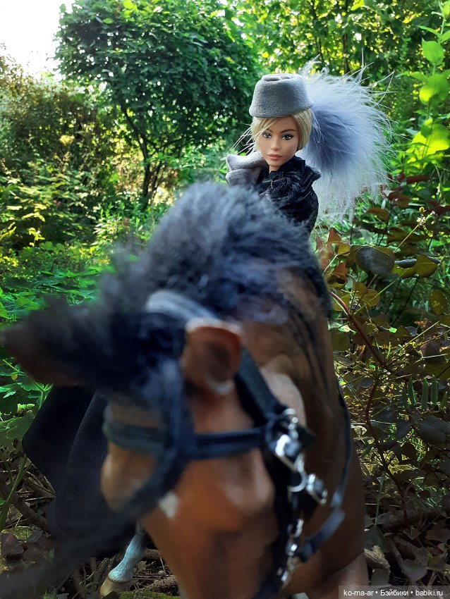 Лошадки — В мире животных: смешные фото питомцев и зверей