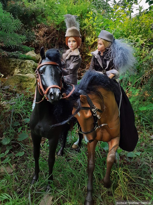 Лошадки — В мире животных: смешные фото питомцев и зверей