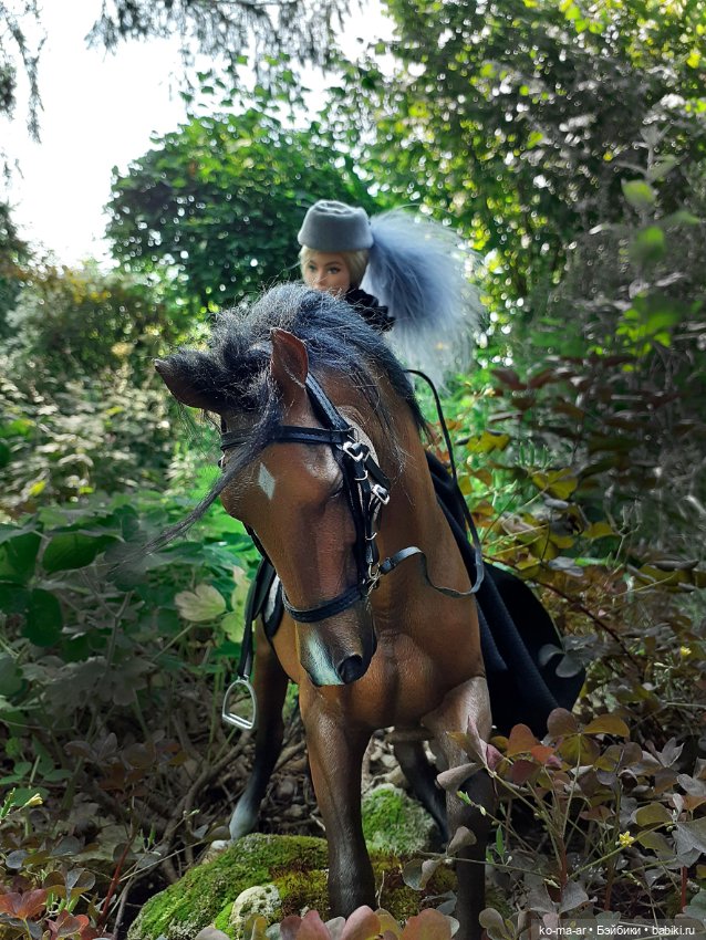 Лошадки — В мире животных: смешные фото питомцев и зверей