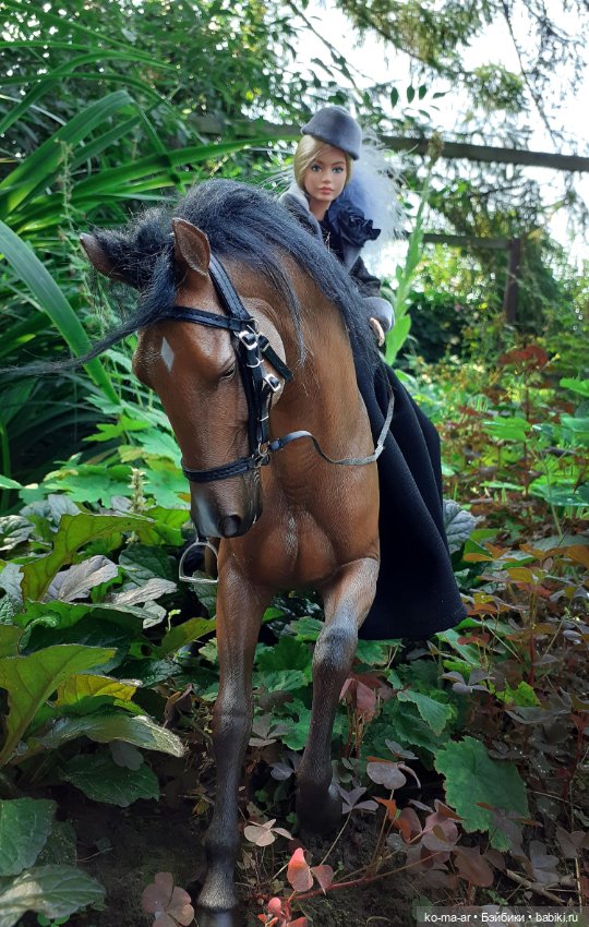 Лошадки — В мире животных: смешные фото питомцев и зверей