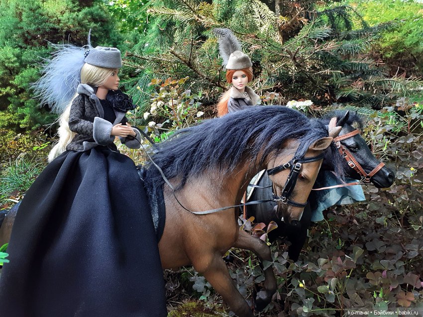 Лошадки — В мире животных: смешные фото питомцев и зверей