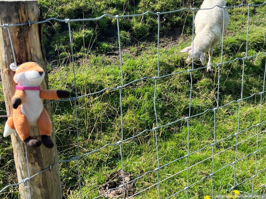 Музыкальная История 135 — Туризм и путешествия: фотоотчеты из поездок (фото 6)